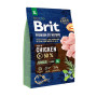 Сухой корм Brit Premium Dog Junior XL, для щенков крупных пород, 3 кг