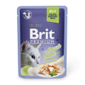 Влажный корм Brit Premium Cat, для кошек, филе форели в желе, 85 г