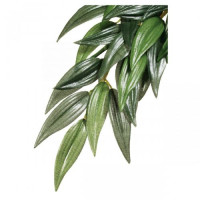 Декорація для тераріуму Hagen Exo Terra Rucus L Декорація для тераріуму Hagen Exo Terra Rucus L