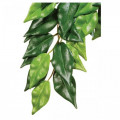Декорація для тераріуму Hagen Exo Terra Ficus L