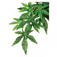 Декорация для террариума Hagen Exo Terra Abuliton M Декорация для террариума Hagen Exo Terra Abuliton M