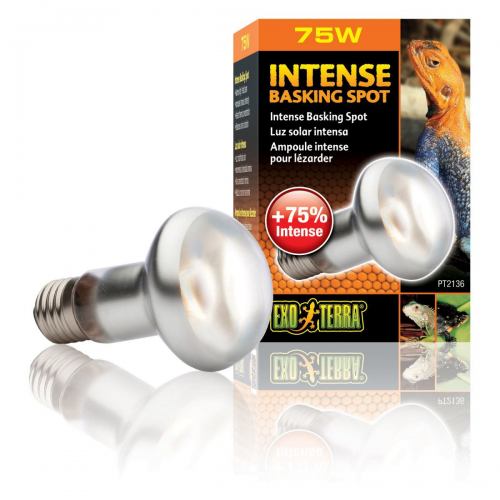 Лампа Hagen Exo Terra Intense Basking Spot, рефлеторная, 75 Вт