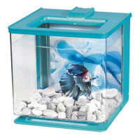 Акваріумний комплект Hagen Marina Betta EZ Care, 2.5 л, блакитний Акваріумний комплект Hagen Marina Betta EZ Care, 2.5 л, блакитний