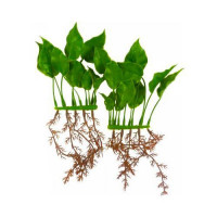 Декорація Hagen Anubias Nana, рослина пластикове, 15 см Декорація Hagen Anubias Nana, рослина пластикове, 15 см