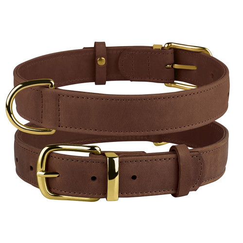 Нашийник BronzeDog Crazy, для собак, шкіряний, коньяк, 19-25×1 см