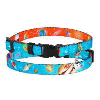 Нашийник BronzeDog Urban Cosmos, для котів, нейлоновий, дзвіночок, блакитний, 18-28×1 см Нашийник BronzeDog Urban Cosmos, для котів, нейлоновий, дзвіночок, блакитний, 18-28×1 см