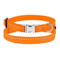 Нашийник BronzeDog Active, для собак і котів, нейлоновий, фастекс хром, помаранчевий, 18-28×1 см Нашийник BronzeDog Active, для собак і котів, нейлоновий, фастекс хром, помаранчевий, 18-28×1 см