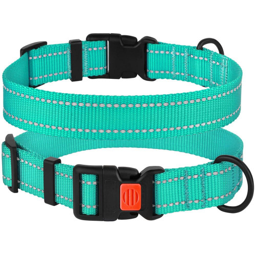 Нашийник BronzeDog Active, для собак, нейлоновий, фастекс пластик, бірюзовий, 25-33×1.6 см