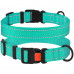 Ошейник BronzeDog Active, для собак, нейлоновый, фастекс пластик, бирюзовый, 43-66×2.5 см