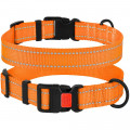 Нашийник BronzeDog Active, для собак, нейлоновий, фастекс пластик, помаранчевий, 35-53×2.5 см