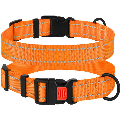 Нашийник BronzeDog Active, для собак, нейлоновий, фастекс пластик, помаранчевий, 35-53×2.5 см