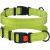 Нашийник BronzeDog Active, для собак, нейлоновий, фастекс пластик, салатовий, 25-33×1.6 см