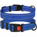 Нашийник BronzeDog Active, для собак, нейлоновий, фастекс пластик, синій, 30-40×2 см