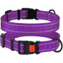 Ошейник BronzeDog Active, для собак, нейлоновый, фастекс пластик, фиолетовый, 43-66×2.5 см