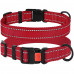 Нашийник BronzeDog Active, для собак, нейлоновий, фастекс пластик, червоний, 25-33×1.6 см