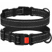 Нашийник BronzeDog Active, для собак, нейлоновий, фастекс пластик, чорний, 30-40×2 см