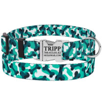 Нашийник BronzeDog Urban Camo, для собак, нейлоновий, фастекс металевий, бірюзовий, 25-33×1.6 см Нашийник BronzeDog Urban Camo, для собак, нейлоновий, фастекс металевий, бірюзовий, 25-33×1.6 см