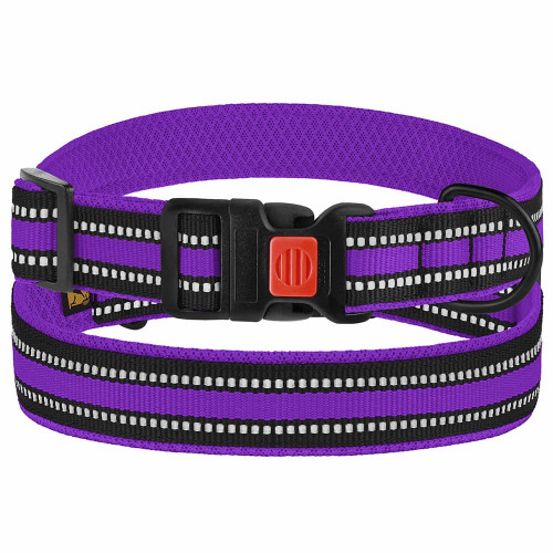 Нашийник BronzeDog Urban Mesh, для собак, нейлон і 3-D сітка, фастекс пластик, фіолетовий, 25-33×2 см