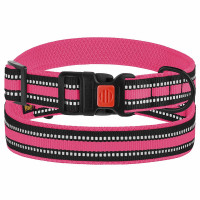 Нашийник BronzeDog Urban Mesh, для собак, нейлон і 3-D сітка, фастекс пластик, рожевий, 30-40×2 см Нашийник BronzeDog Urban Mesh, для собак, нейлон і 3-D сітка, фастекс пластик, рожевий, 30-40×2 см