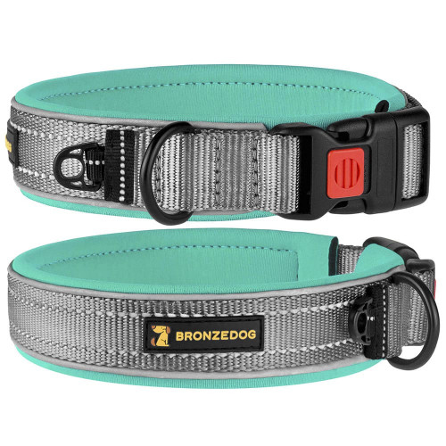 Ошейник BronzeDog Sport, для собак, неопрен, фастекс пластик, серо-бирюзовый, 43-51×2.5 см