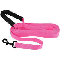 Поводок BronzeDog Active для собак, нейлоновый с мягкой ручкой, розовый, 6 м×2.5 см
