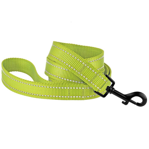 Поводок BronzeDog Active для собак, светоотражающий нейлон, салатовый, 152×1 см