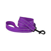 Поводок BronzeDog Active для собак, светоотражающий нейлон, фиолетовый, 152×1 см Поводок BronzeDog Active для собак, светоотражающий нейлон, фиолетовый, 152×1 см