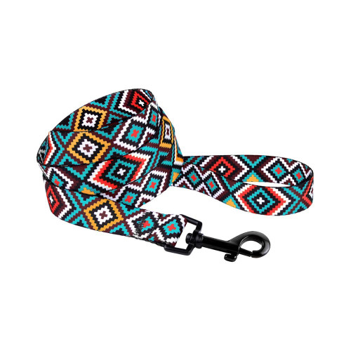 Повідець BronzeDog Tribal для собак, нейлон, принт гуцульський, ментоловий, 152×2 см