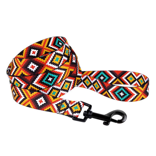 Повідець BronzeDog Tribal для собак, нейлон, принт гуцульський, помаранчевий, 152×2.5 см