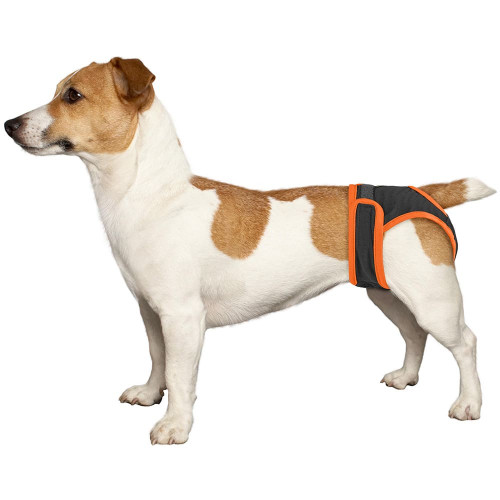 Труси гігієнічні BronzeDog для собак, трикотаж, регульовані, сірий, 2XL