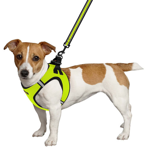 Шлея BronzeDog Mesh Vest для собак, сітчастий нейлон, лимонний, 42-47 см
