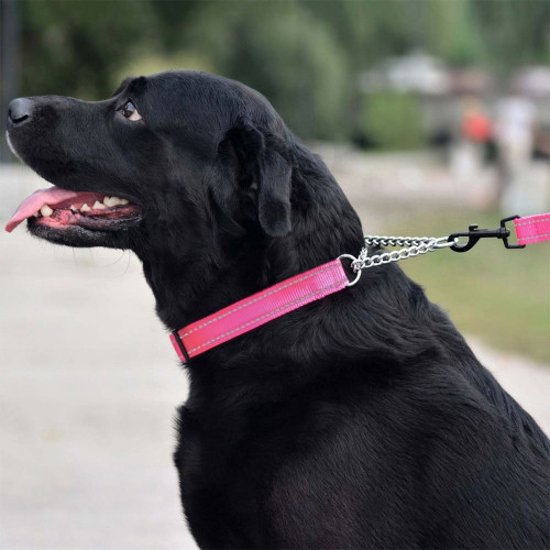 Нашийник-полуудавка BronzeDog, для собак, нейлоновий, фастекс, світловідбиваючий, рожевий, 35-43×2 см