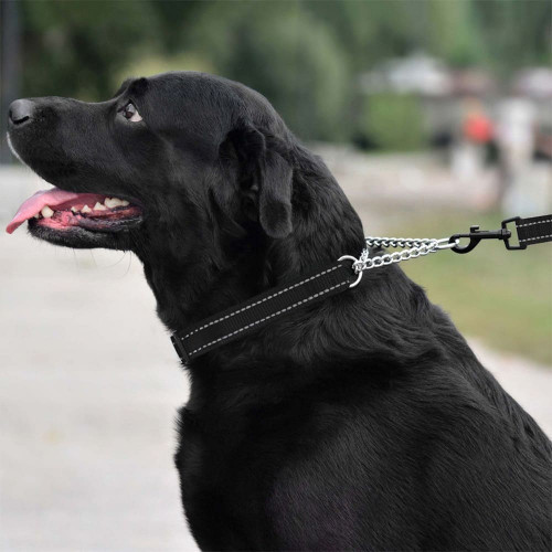 Нашийник-полуудавка BronzeDog, для собак, нейлоновий, фастекс, світловідбиваючий, чорний, 30-38×1.6 см