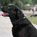 Нашийник-полуудавка BronzeDog, для собак, нейлоновий, фастекс, світловідбиваючий, чорний, 30-38×1.6 см