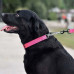 Ошейник-полуудавка BronzeDog, для собак, нейлоновый, фастекс, светоотражающий, розовый, 41-55×2.5 см