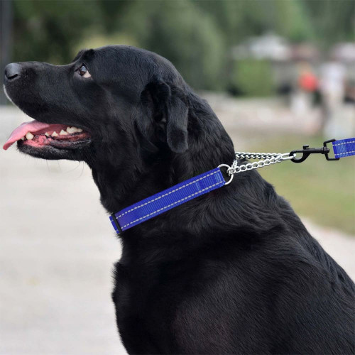 Нашийник-полуудавка BronzeDog, для собак, нейлоновий, фастекс, світловідбиваючий, синій, 41-55×2.5 см