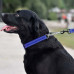 Нашийник-полуудавка BronzeDog, для собак, нейлоновий, фастекс, світловідбиваючий, синій, 41-55×2.5 см