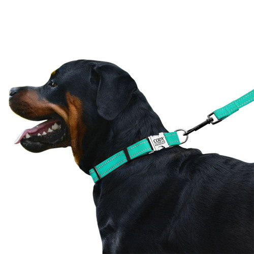 Нашийник BronzeDog Active, для собак, нейлоновий, фастекс хром, бірюзовий, 25-33×1.6 см