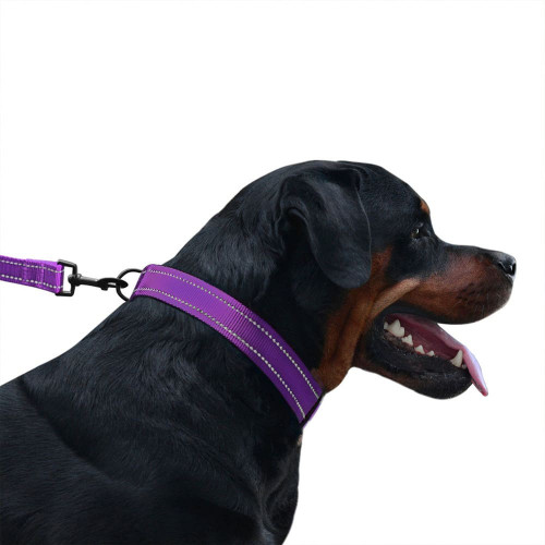 Нашийник BronzeDog Active, для собак, нейлоновий, фастекс пластик, фіолетовий, 43-66×2.5 см