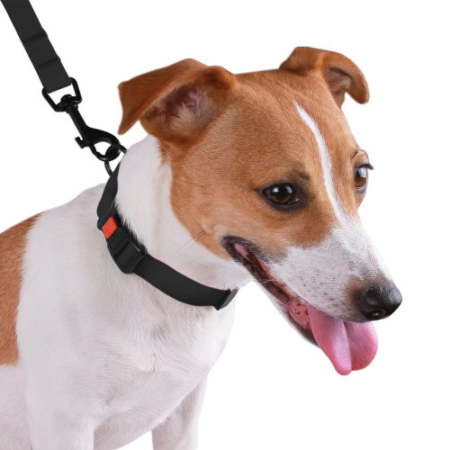 Ошейник BronzeDog Active, для собак, водоотталкивающий, фастекс пластик, чёрный, 25-33×1.6 см