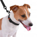 Ошейник BronzeDog Active, для собак, водоотталкивающий, фастекс пластик, чёрный, 25-33×1.6 см