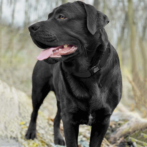 Нашийник BronzeDog Active, для собак, водовідштовхувальний, фастекс метал, чорний, 35-53×2.5 см