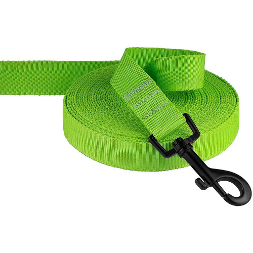 Поводок BronzeDog Active для собак, нейлоновый с мягкой ручкой, салатовый, 15 м×2.5 см