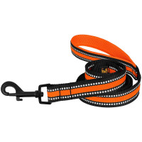 Поводок BronzeDog Mesh для собак, сетчатый нейлон, оранжевый, 200×2.5 см Поводок BronzeDog Mesh для собак, сетчатый нейлон, оранжевый, 200×2.5 см