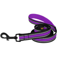 Поводок BronzeDog Mesh для собак, сетчатый нейлон, фиолетовый, 200×2.5 см