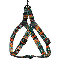 Шлея BronzeDog Tribal для собак, нейлон, принт этничный, ментоловый, 45-60 см Шлея BronzeDog Tribal для собак, нейлон, принт этничный, ментоловый, 45-60 см