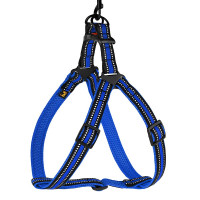 Шлея BronzeDog Mesh Стандарт для собак, сетчатый нейлон, синий, 45-60 см Шлея BronzeDog Mesh Стандарт для собак, сетчатый нейлон, синий, 45-60 см