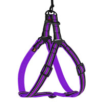 Шлея BronzeDog Mesh Стандарт для собак, сітчастий нейлон, фіолетовий, 45-60 см Шлея BronzeDog Mesh Стандарт для собак, сітчастий нейлон, фіолетовий, 45-60 см