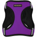 Шлея BronzeDog Sport Vest для собак з нейлону, неопрену і 3D сітки, фіолетовий, 42-47 см
