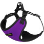 Шлея BronzeDog Sport для собак из неопрена, фиолетовый, 35-38 см